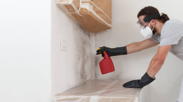 Professional Crawl Space Mold Removal technician working in Ocean Grove, MA