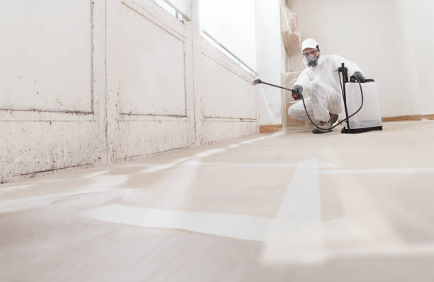 24/7 Emergency Crawl Space Mold Removal experts in Ocean Grove, MA