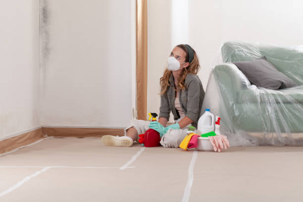 Reliable Crawl Space Mold Removal contractor in Ocean Grove, MA by WQB Mold Removal